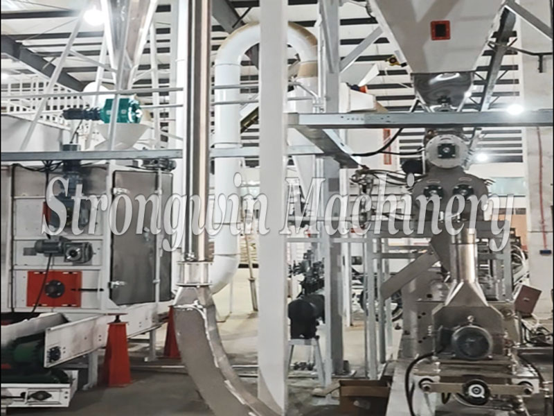 Client Case: Customized Floating Fish Feed Puffing Production Line Elevates Efficiency